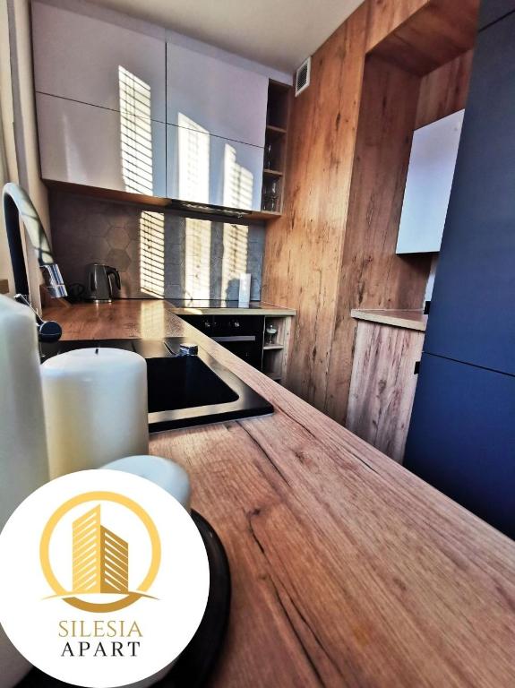 Kuchyň nebo kuchyňský kout v ubytování Apartament Lancelot