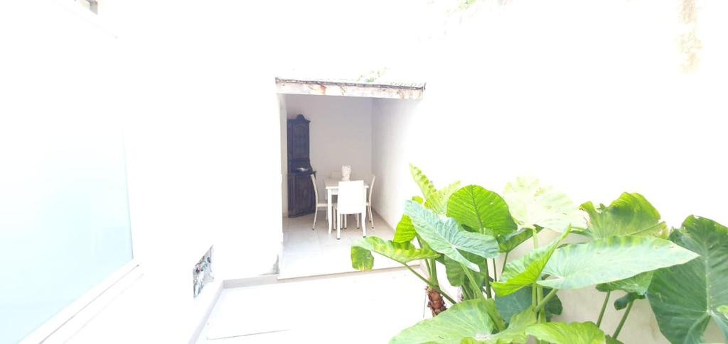 Gallery image of Duplex Anto in San Vito lo Capo