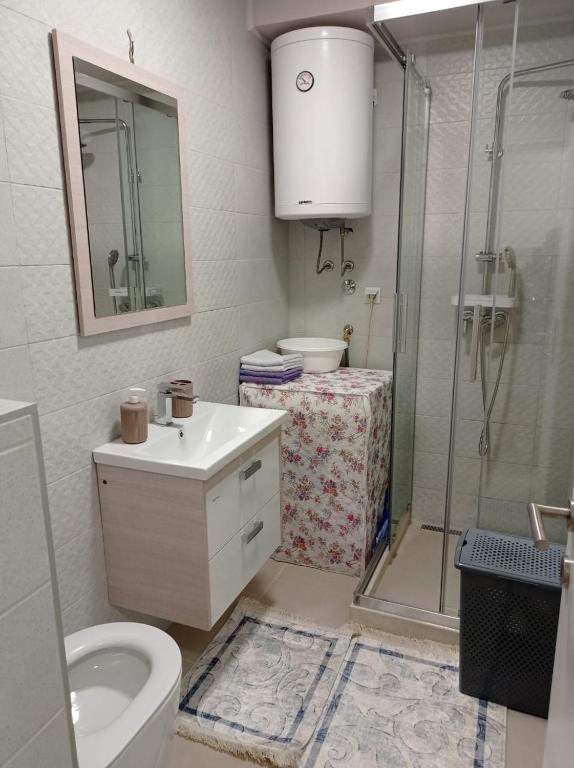 a bathroom with a shower and a sink and a toilet at A part hn in Herceg-Novi