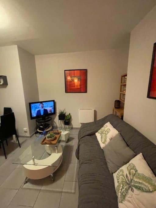 un salon avec un canapé et une télévision dans l'établissement Bel appartement rez de chaussée, à Troyes