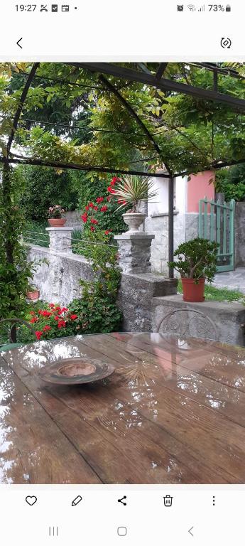 Zahrada ubytování Bed and Breakfast Papillon