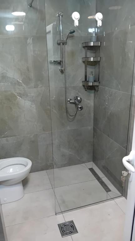 a bathroom with a shower and a toilet at Square Point Apartments in Kotor