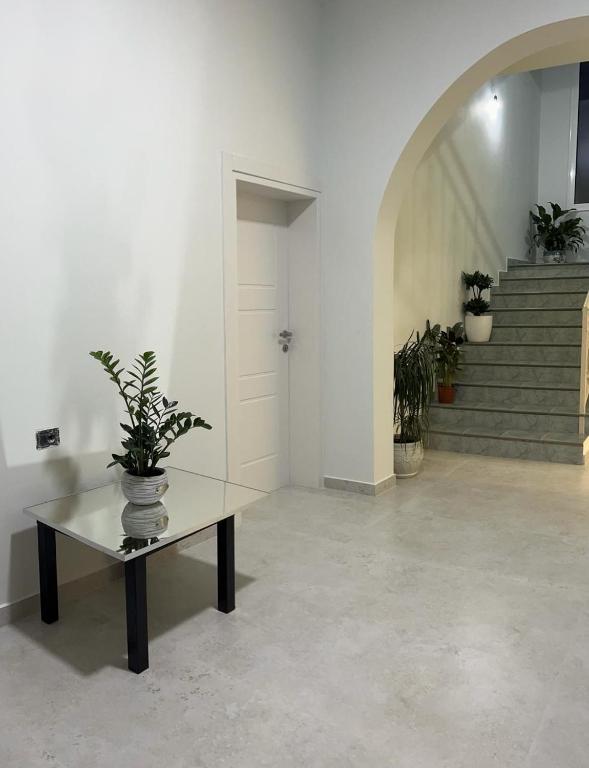 Fotografie z fotogalerie ubytování Hotel Noel v destinaci Vlorë