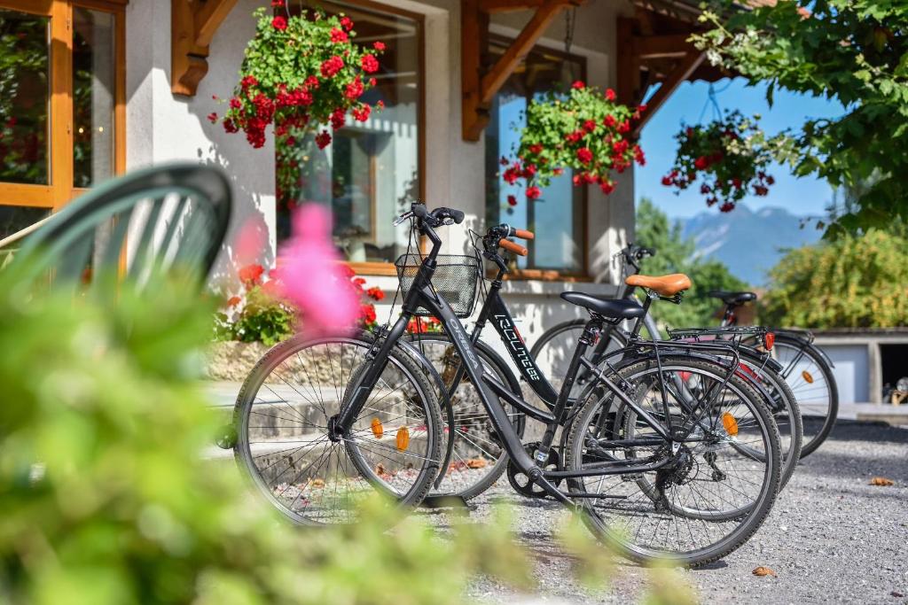 Jízda na kole v ubytování L'Arcalod & Bistrot Jeanne - Lac d'Annecy - Hôtel Restaurant Spa nebo okolí