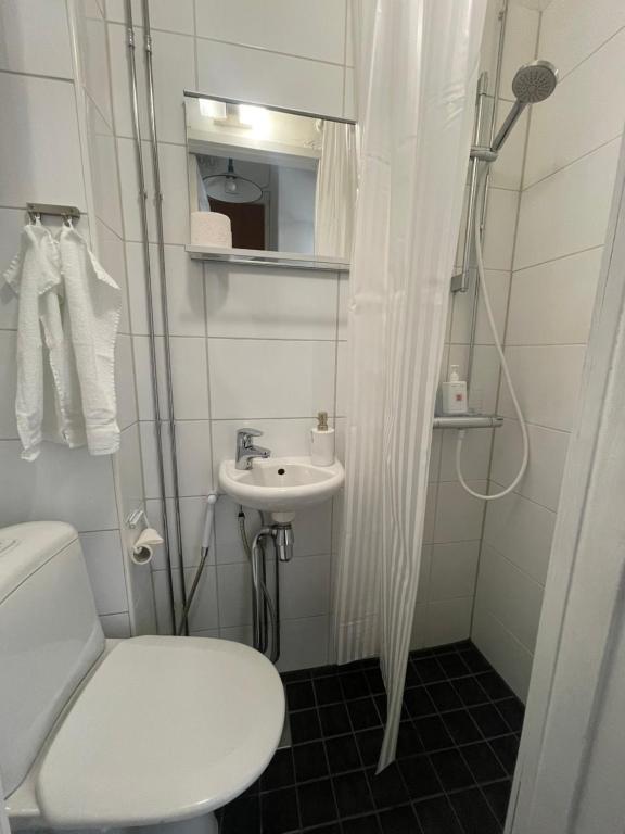 a small bathroom with a toilet and a sink at Your Chic Vibrant Airbnb in Helsinki