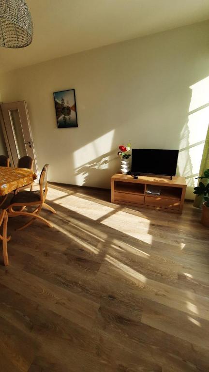 TV a/nebo společenská místnost v ubytování Apartmán PERLA 28, Říčky