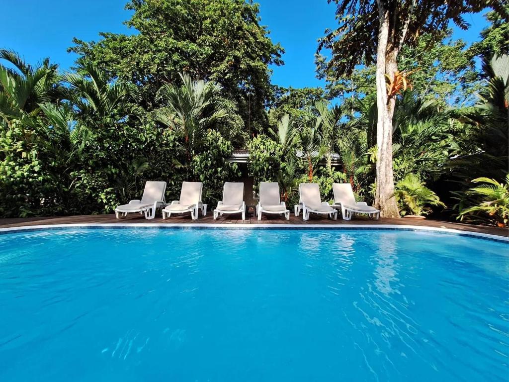 Bazén v ubytování Alloro Jungle Villas nebo v jeho okolí