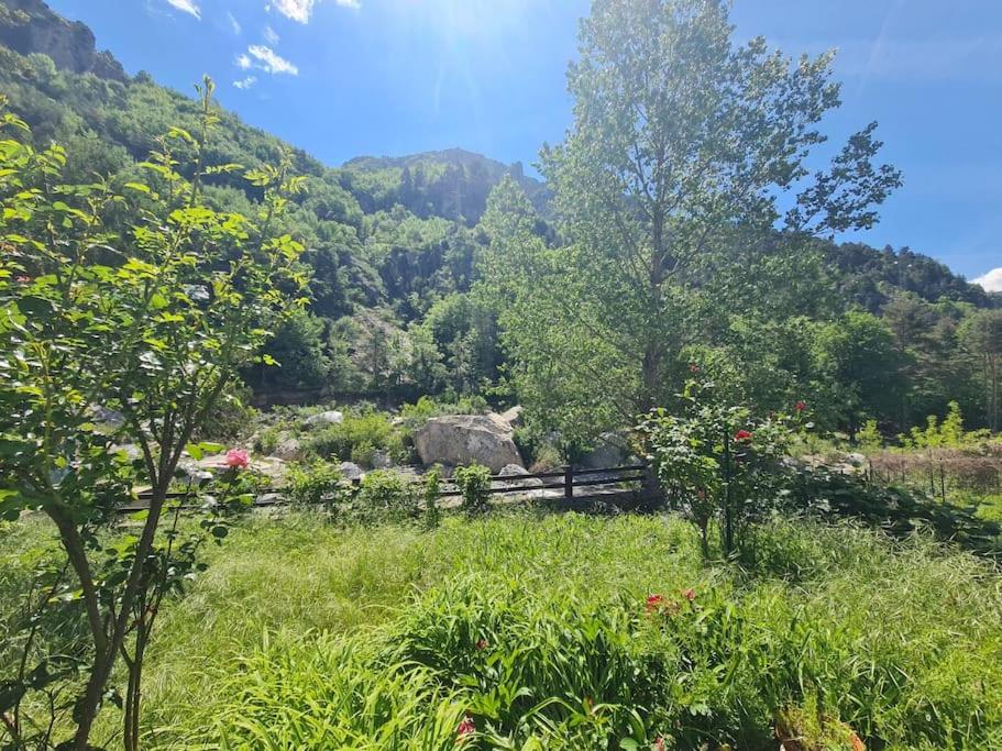 a field of grass with a fence and trees at Maison atypique in Tende
