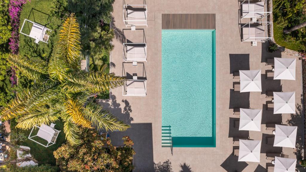 an overhead view of a swimming pool and a palm tree at Hotel Villa Elisa & Spa in Bordighera