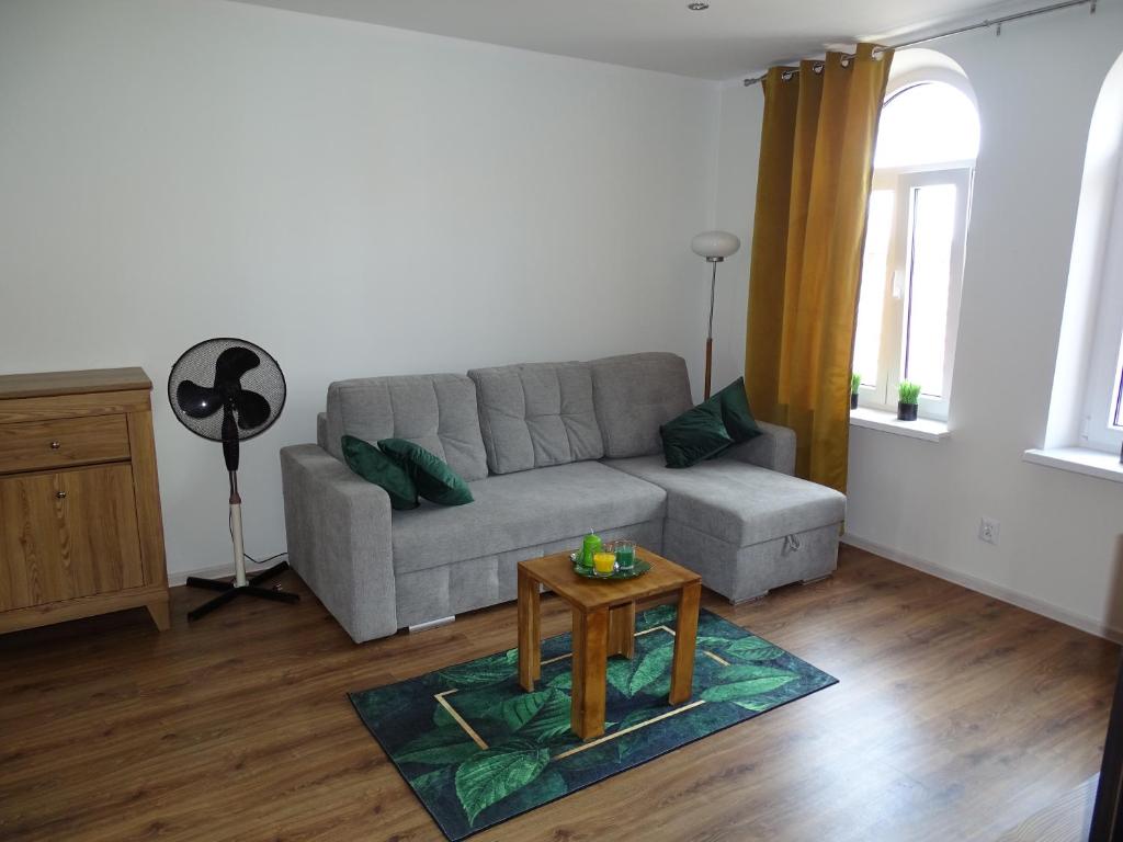 a living room with a couch and a table at Apartament Lago in Mrągowo