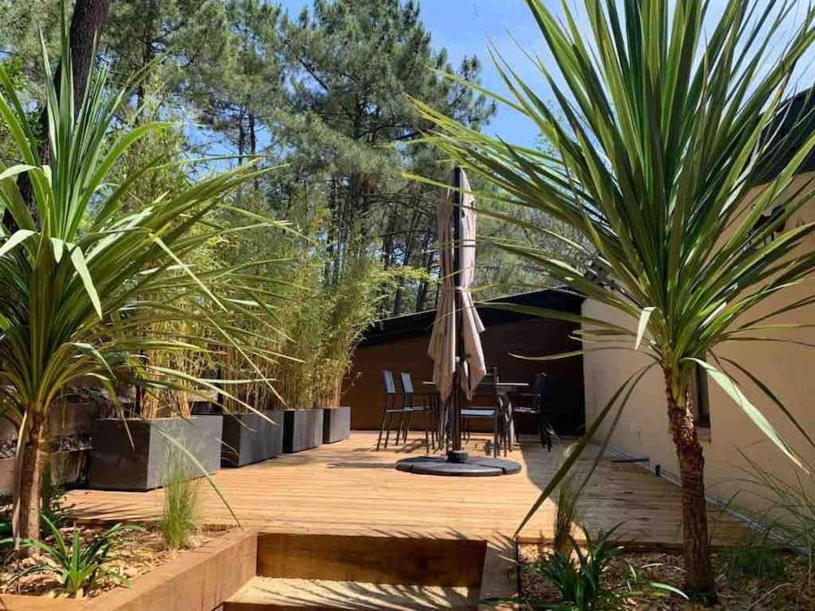 d'une terrasse avec une table, un parasol et des palmiers. dans l'établissement Lacanau Océan, grand logement, grandes terrasses, pinède, à Lacanau-Océan