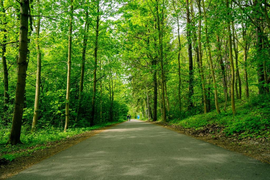 Mielenko & Spa ex Baltin Hotel - 17