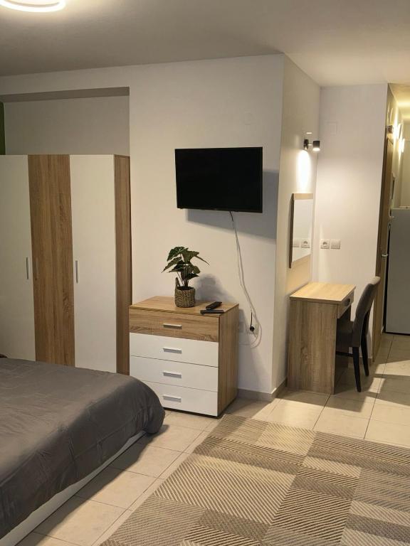 TV a/nebo společenská místnost v ubytování Ifigeleni studios