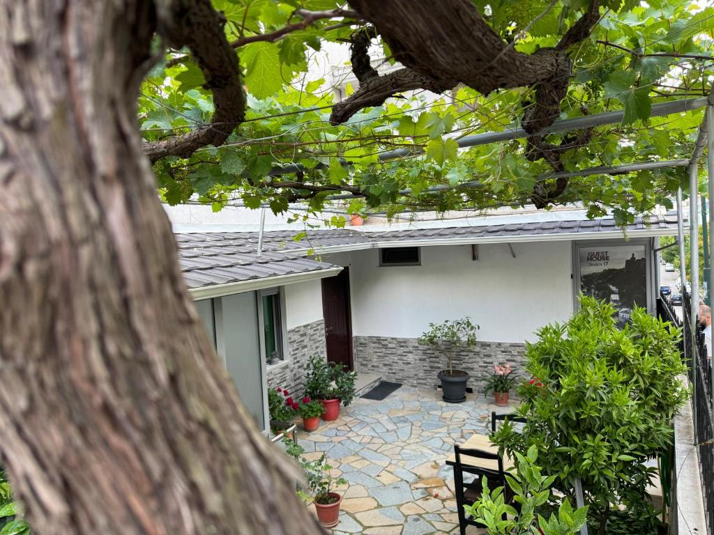 Zahrada ubytování Double17 Apartaments