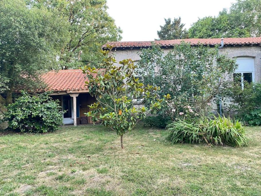 un petit arbre dans la cour d'une maison dans l'établissement Logement au calme entoure d un grand jardin, à Falleron
