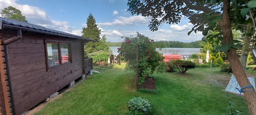 a yard with a house and a tree at Lemanka Domek Letniskowy in Gowidlino