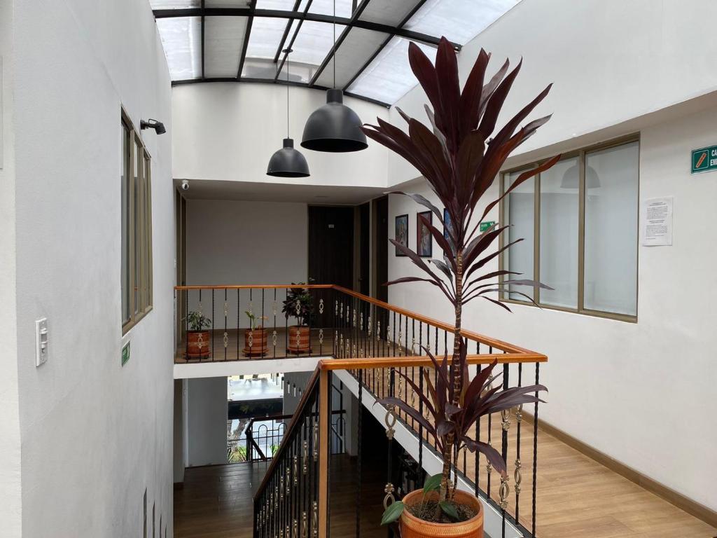 Fotografie z fotogalerie ubytování Hotel Botaniko v destinaci Bogotá