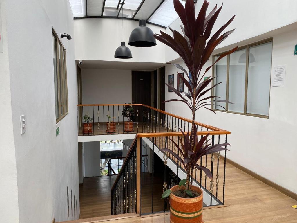 Fotografie z fotogalerie ubytování Hotel Botaniko v destinaci Bogotá
