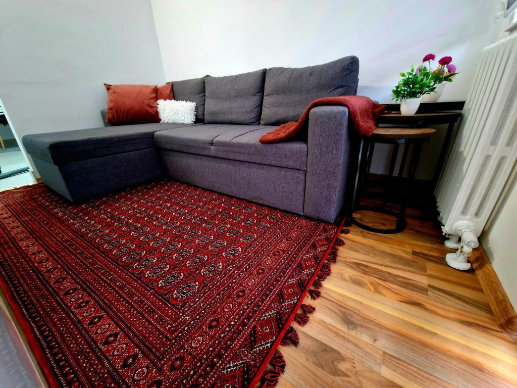 a living room with a couch and a red rug at Infinity Apartment & Free Wifi & Free Parking in Sarajevo
