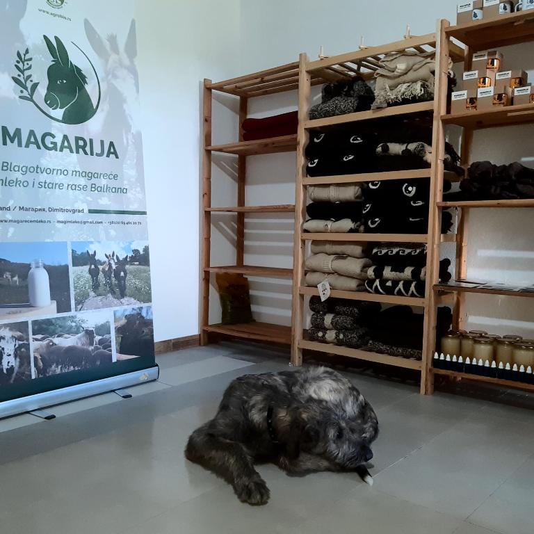 Foto sihtkohas Dimitrovgrad asuva majutusasutuse Magarija 1 galeriist