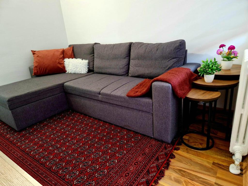 a living room with a gray couch and a red rug at Infinity Apartment & Free Wifi & Free Parking in Sarajevo