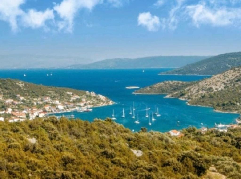 Príroda v okolí apartmánu
