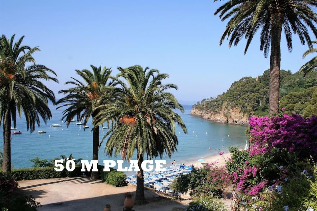 une vue d'une plage avec des palmiers et les mots donc ma place dans l'établissement Clair de Lune, à Rayol-Canadel-sur-Mer