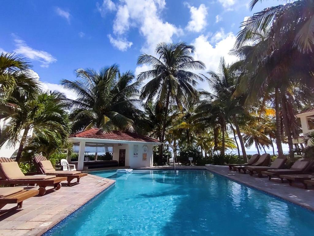 聖佩德羅的住宿－Tradewinds Paradise Villas，一个带椅子的游泳池,棕榈树