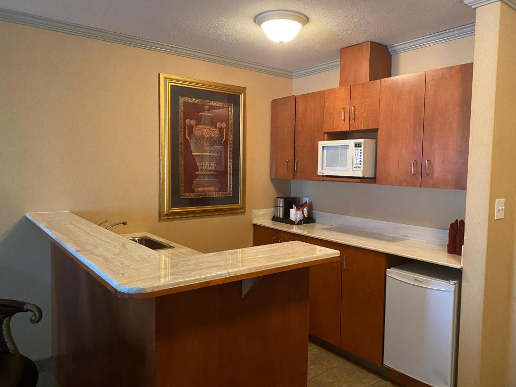 Kuchyň nebo kuchyňský kout v ubytování Merit Hotel & Suites