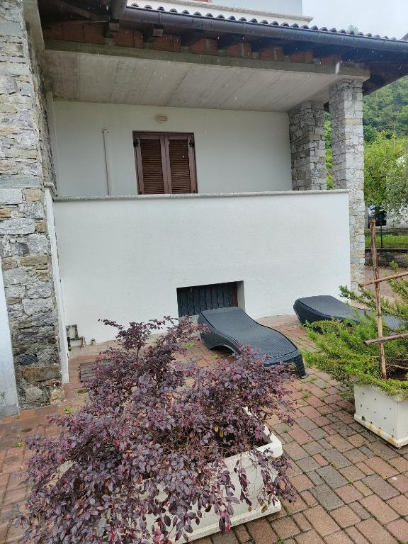 Zahrada ubytování House curti