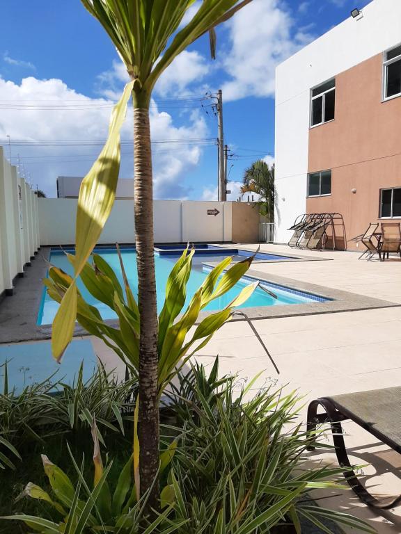 a palm tree in front of a swimming pool at Apê Vumbora Pra Praia, todo climatizado, a 200 m da praia in Ilhéus