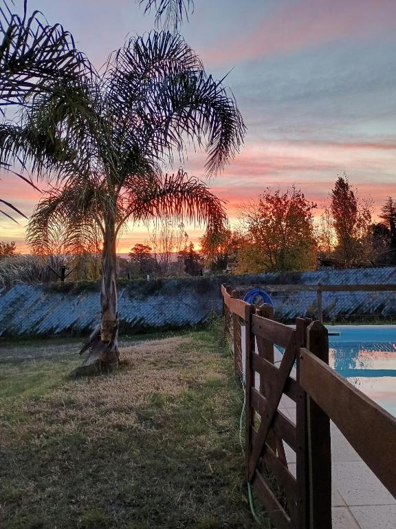 a tree sitting next to a fence next to a pool at Cabañas del Cerro Mirador in Villa Rumipal