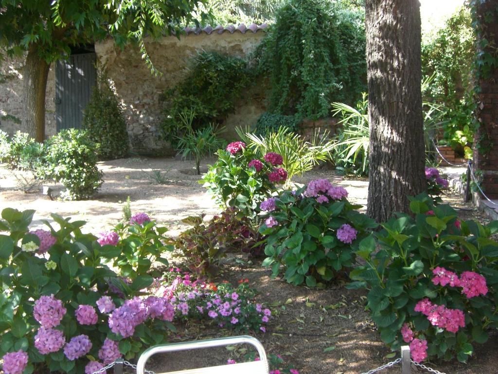 Zahrada ubytování Hotel Torres