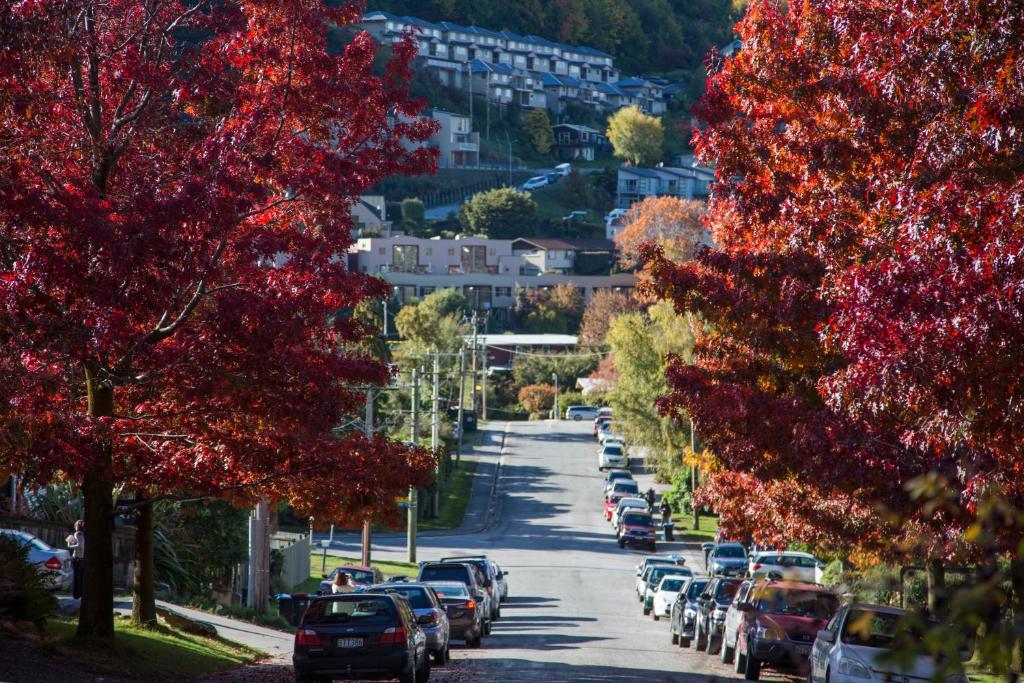 Pinewood Lodge - Resim 21