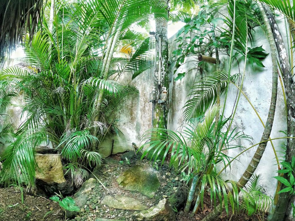 Zahrada ubytování Dream Glamping Jungle Bohio