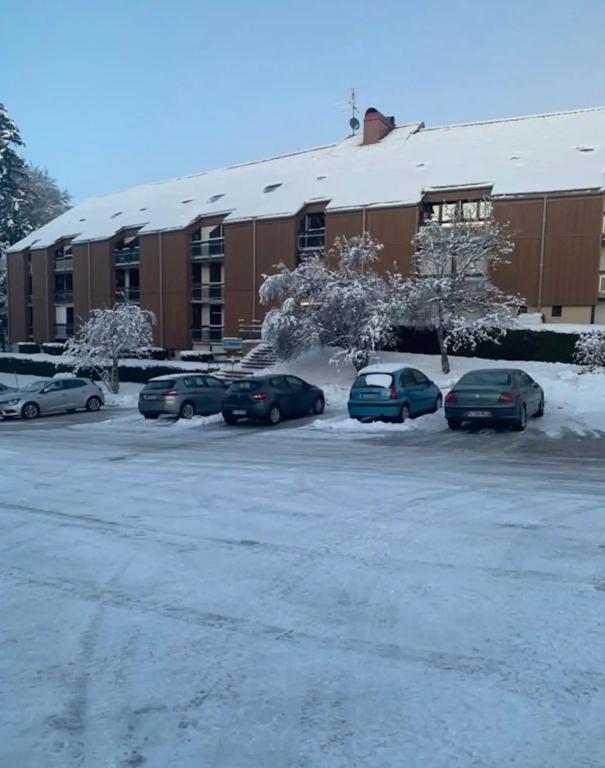 super cosy Métabief pied piste, Métabief (updated prices 2024)