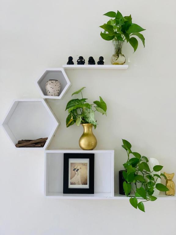 Della Luna Tam Coc Ninh Binh - 3