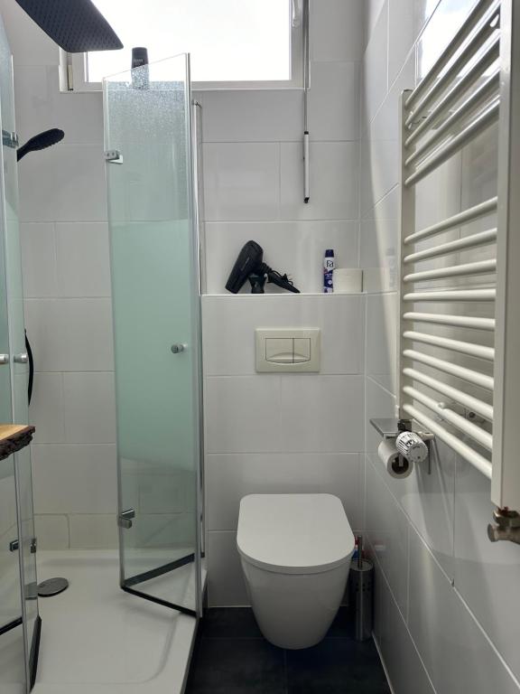 a bathroom with a toilet and a glass shower at Schönes City-Apartment mit 2 Schlafzimmer, Parkplatz, ruhig und hell, D46-DG in Oldenburg