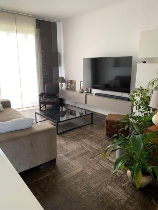 un salon avec une grande télévision à écran plat dans l'établissement Très bel appartement 2 pièces, à Nice