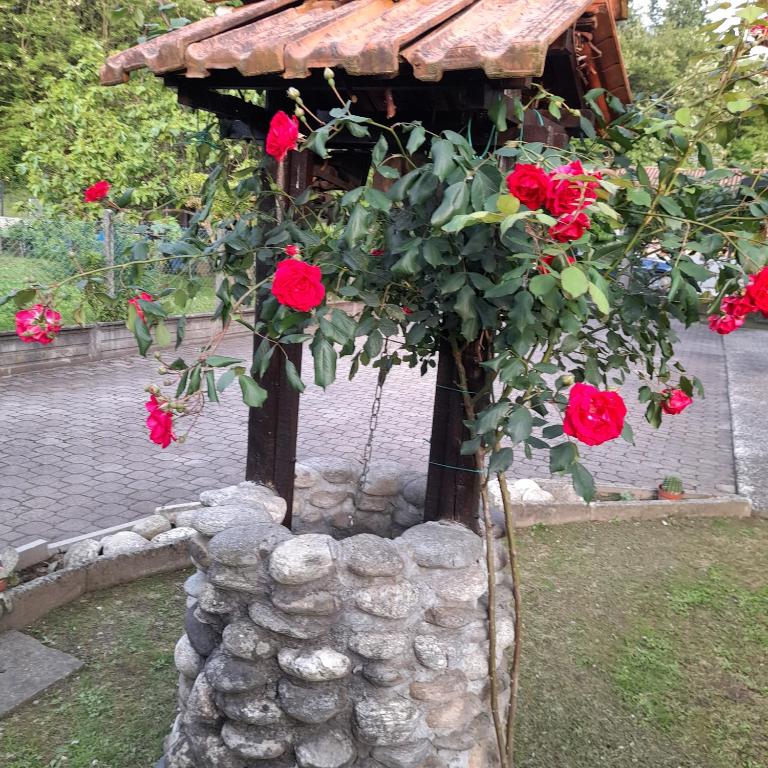 Zahrada ubytování Il Vecchio Kiwi - House with private garden