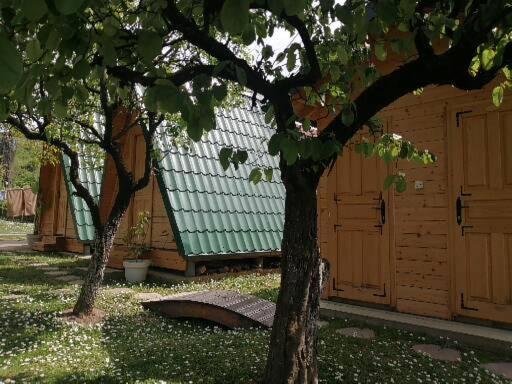 a building with a green roof and two trees at Katun in Vrdnik