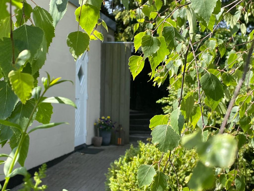 Zahrada ubytování Jonstrupvejens Apartments Lejl D