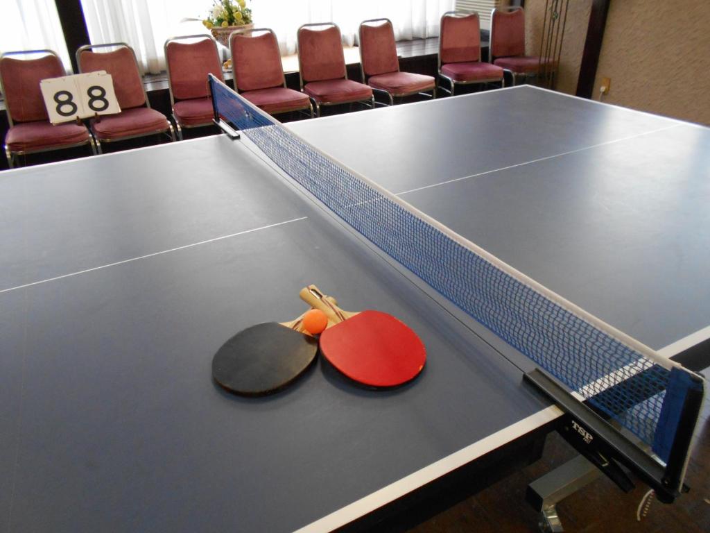 Stolní tenis v ubytování Hotel Luna Park nebo okolí