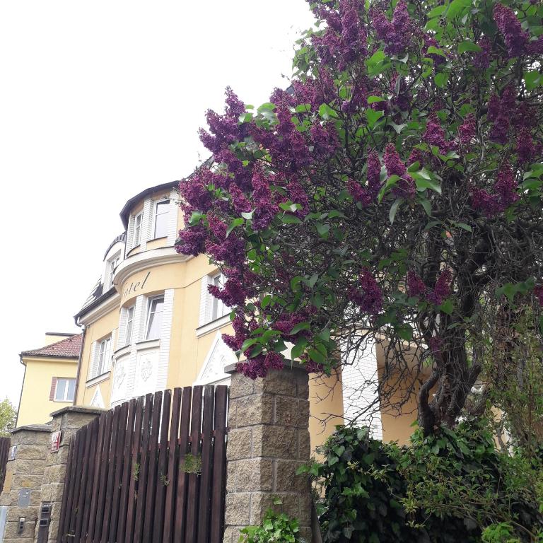 Zahrada ubytování Hotel Garni Rambousek