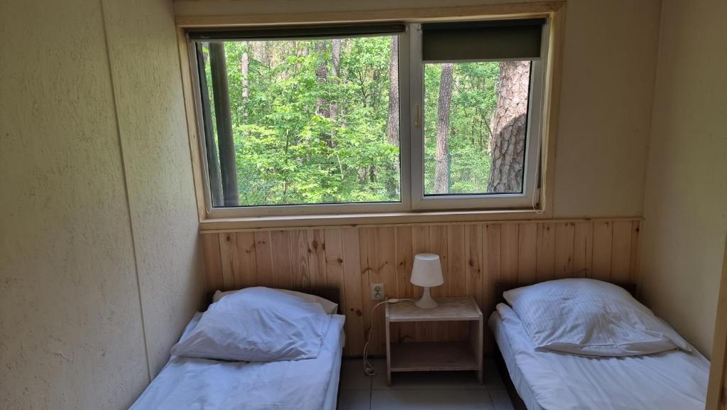 two beds in a room with a window at Ośrodek La La Las - domki letniskowe w lesie nad jeziorem in Bytnica
