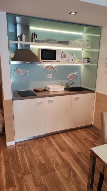 Kuchyň nebo kuchyňský kout v ubytování Wellness Apartments in Velence