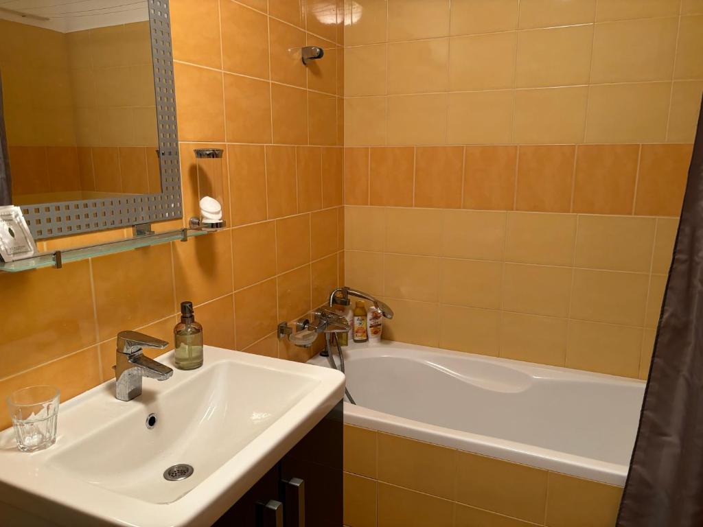 Koupelna v ubytování Apartmán Vratička Říčky v Orlických horách