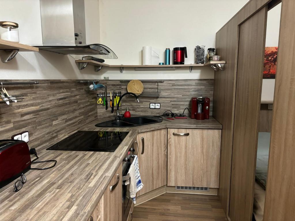 Kuchyň nebo kuchyňský kout v ubytování Apartmán Vratička Říčky v Orlických horách