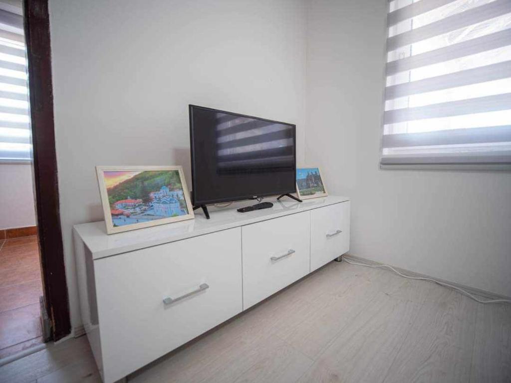 TV a/nebo společenská místnost v ubytování Apartman Miletić