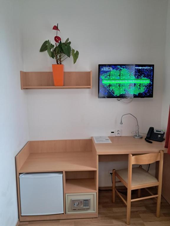 TV a/nebo společenská místnost v ubytování Hotel Garni Rambousek
